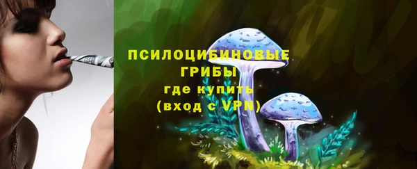 соль ск Алексин