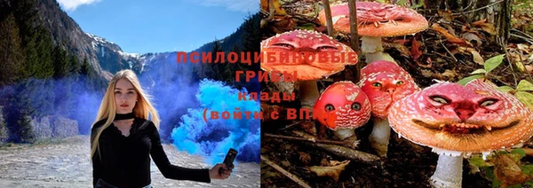 соль ск Алексин